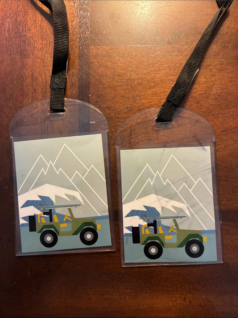 Thirty One luggage tags